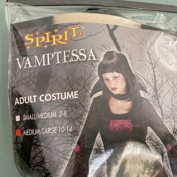 Never used Spirit Vamptessa costume - Picture 2 of 7